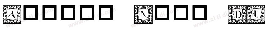 Almoni Neue DL 40 A字体转换